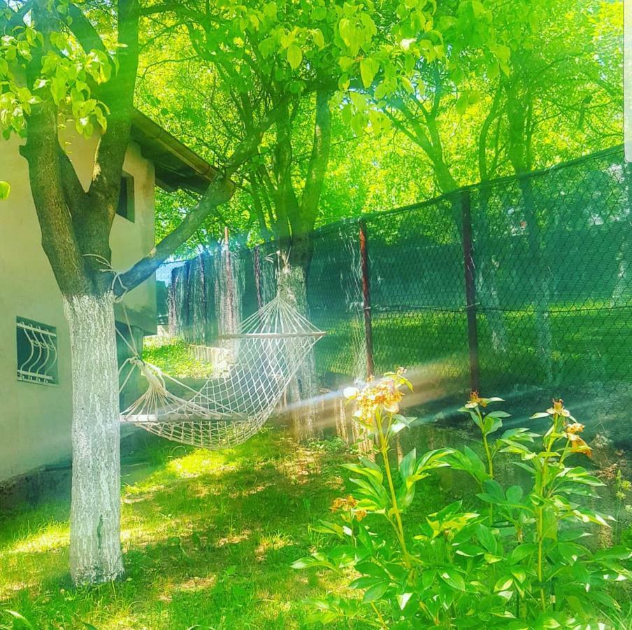 사라예보 Keep Calm Garden 빌라 외부 사진